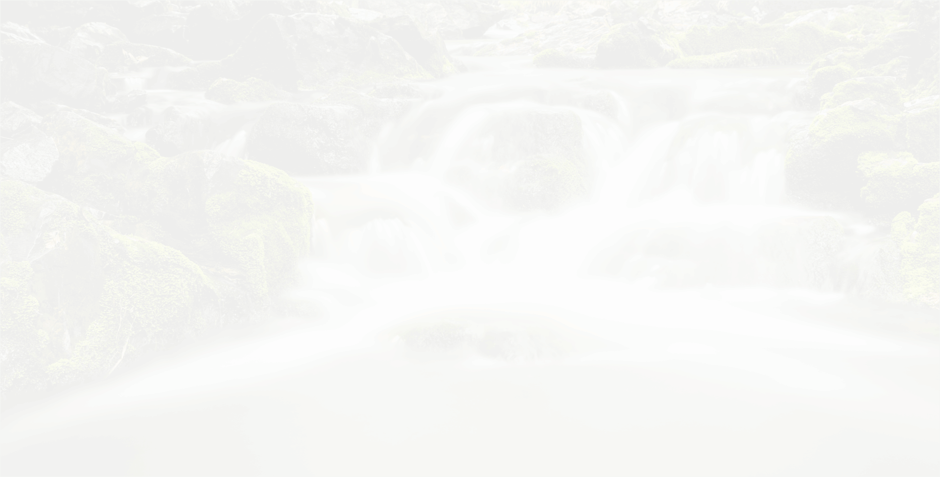 Uniquement en été - Waimes Hautes Fagnes - photo 18