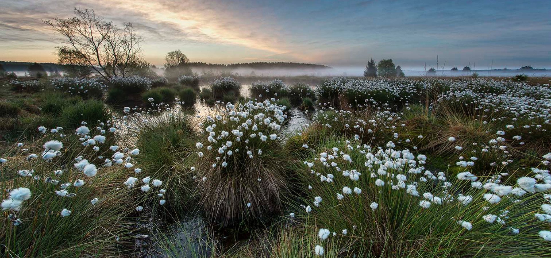 Waimes Hautes Fagnes, rendez-vous en terre insolite au sommet de la Belgique - photo 21
