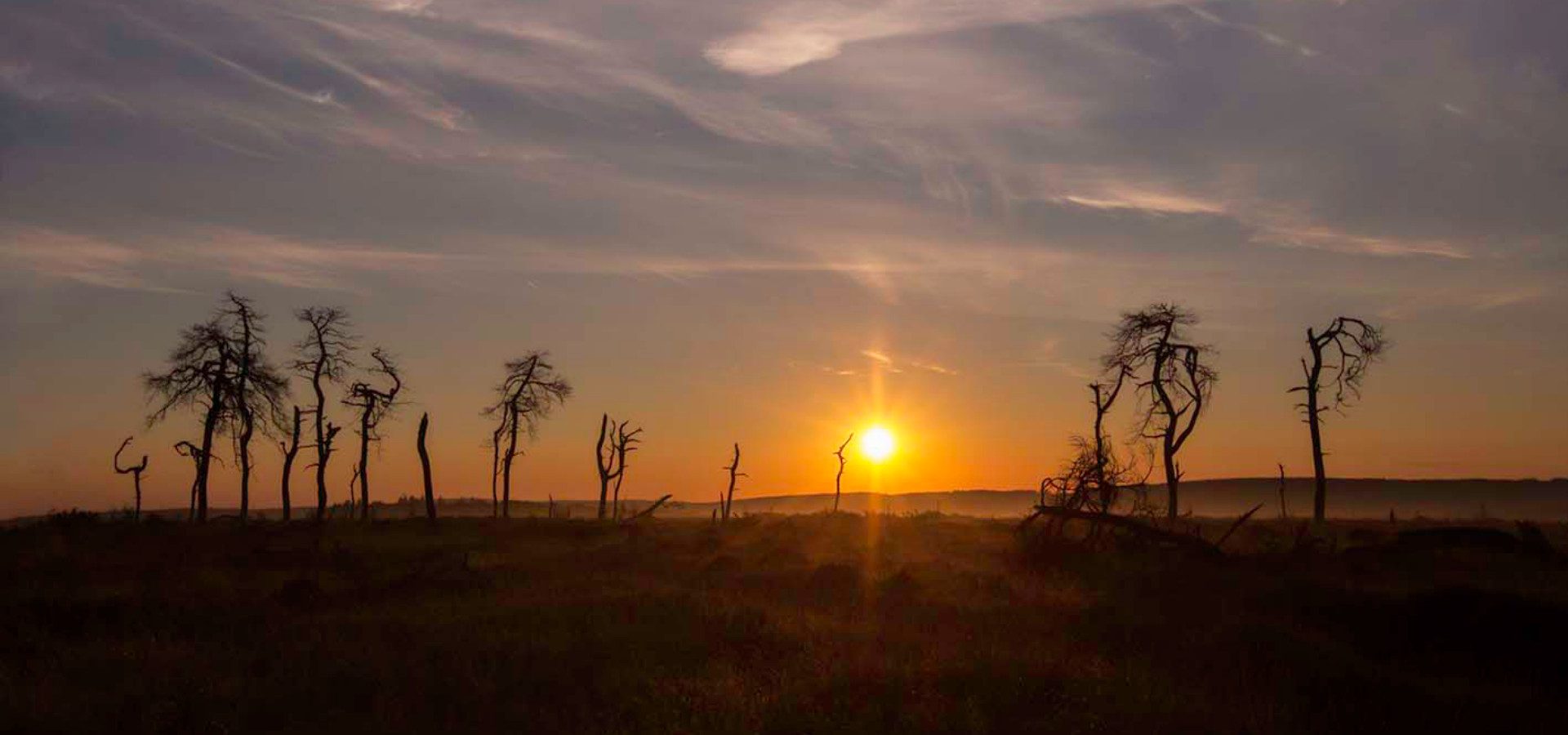 Waimes Hautes Fagnes, rendez-vous en terre insolite au sommet de la Belgique - photo 25