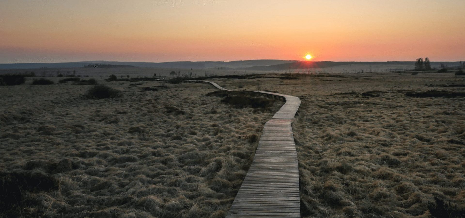 Discover - Waimes Hautes Fagnes - photo 18