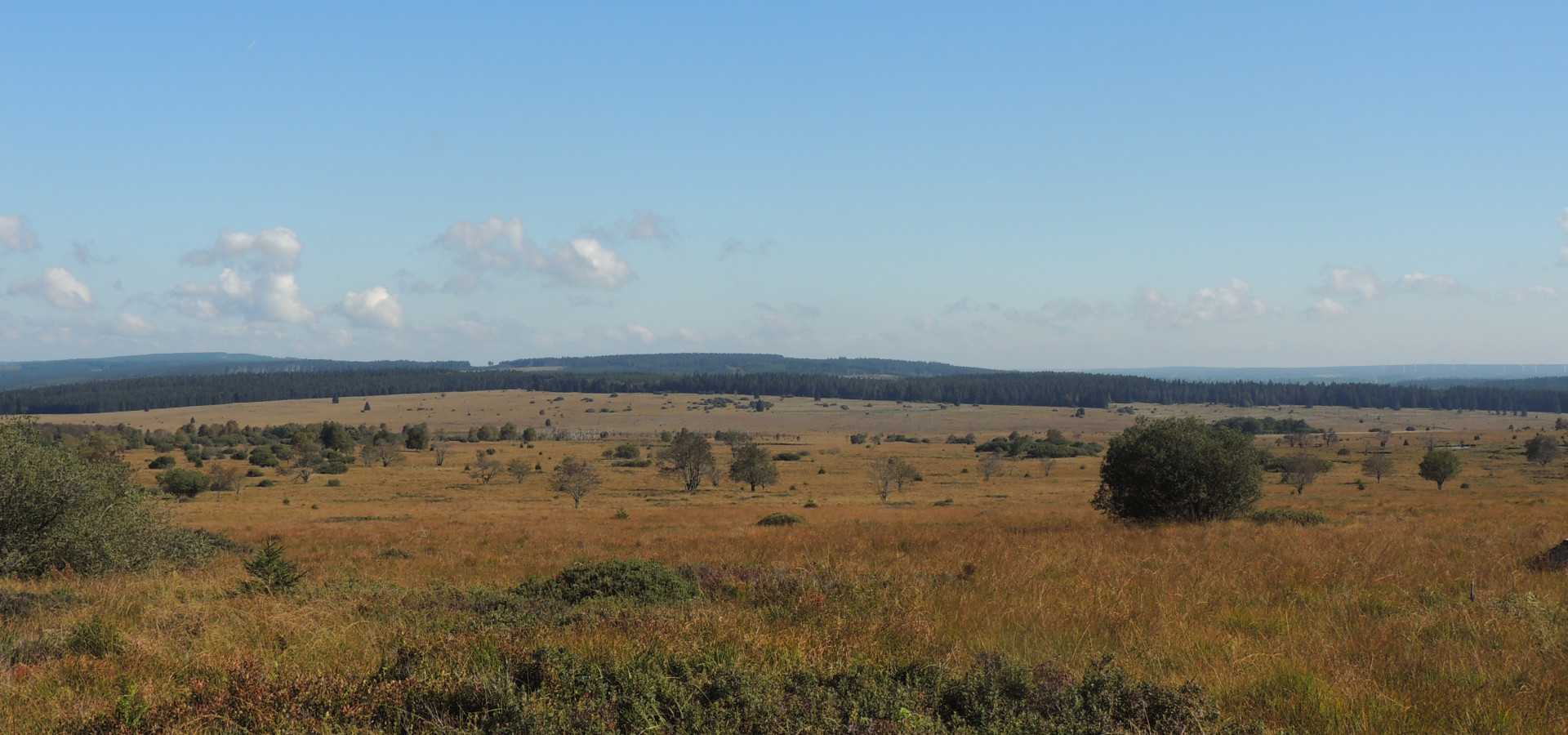 Waimes Hautes Fagnes, rendez-vous en terre insolite au sommet de la Belgique - photo 24