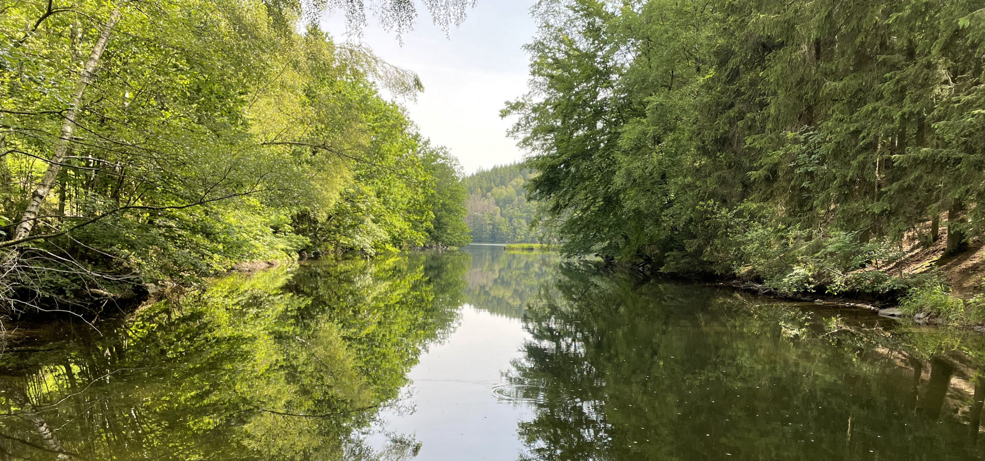 Waimes Hautes Fagnes, rendez-vous en terre insolite au sommet de la Belgique - photo 25