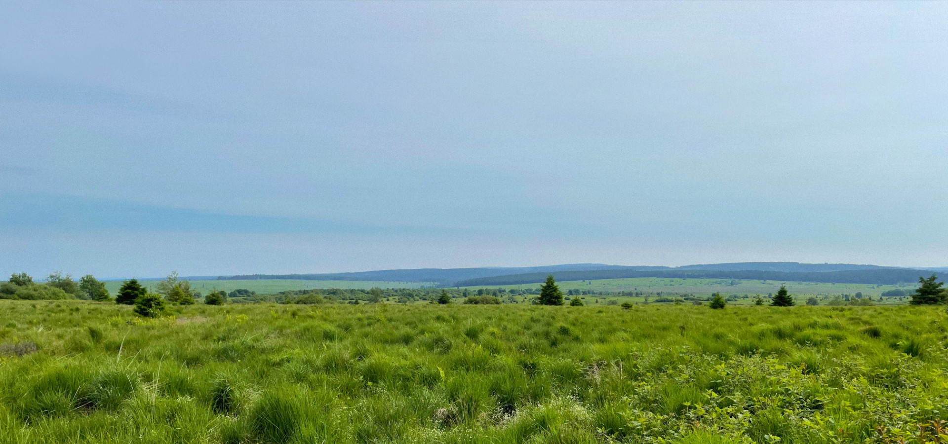 Waimes Hautes Fagnes, rendez-vous en terre insolite au sommet de la Belgique - photo 27