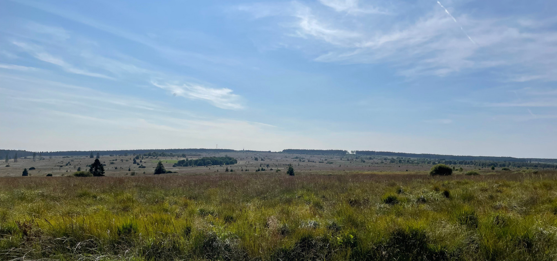 Waimes Hautes Fagnes, rendez-vous en terre insolite au sommet de la Belgique - photo 26