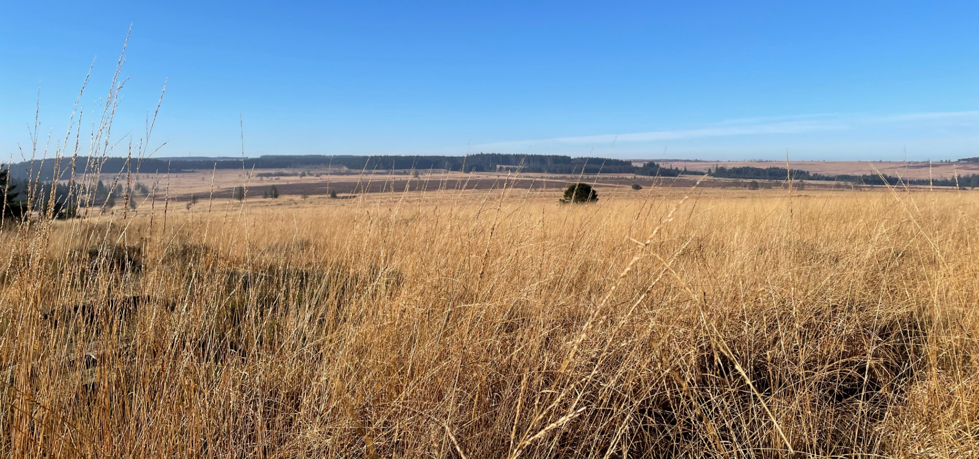 Waimes Hautes Fagnes, rendez-vous en terre insolite au sommet de la Belgique - photo 19