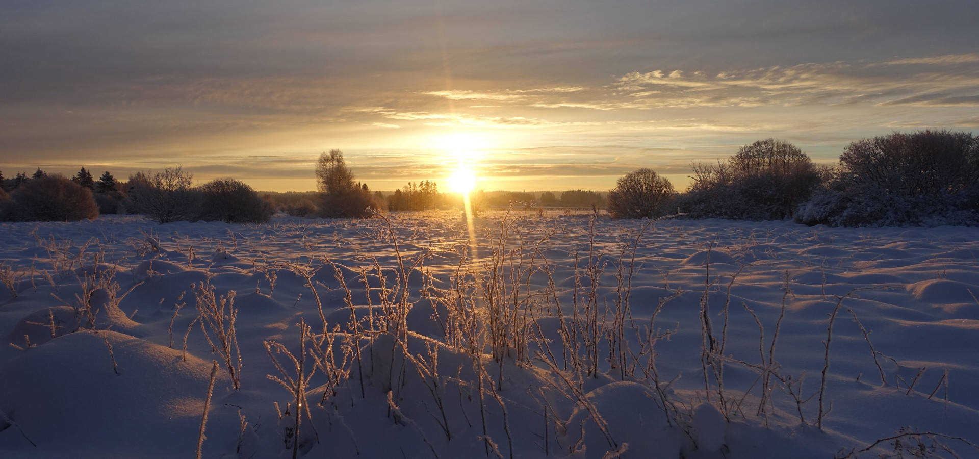 Waimes Hautes Fagnes, rendez-vous en terre insolite au sommet de la Belgique - photo 20