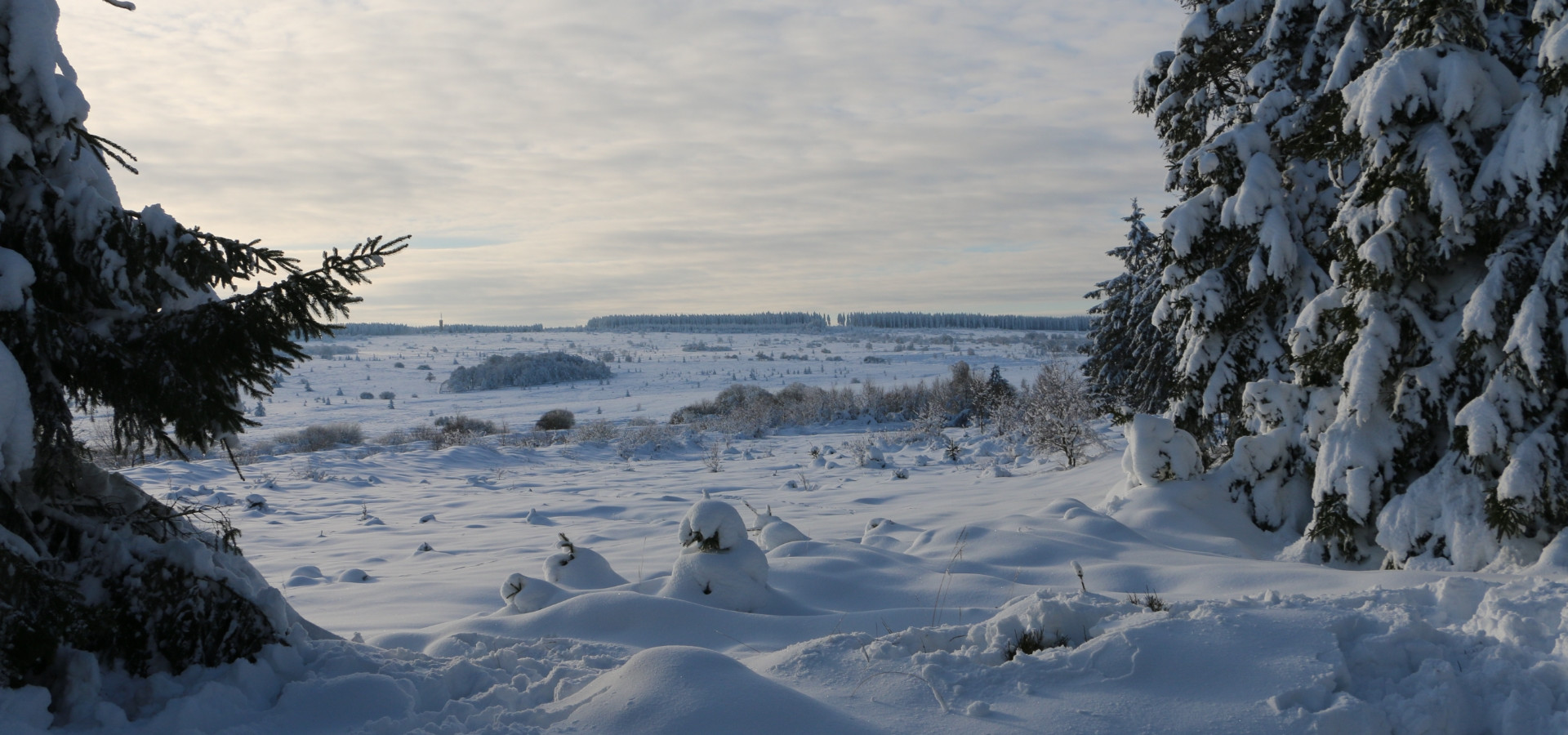 Waimes Hautes Fagnes, rendez-vous en terre insolite au sommet de la Belgique - photo 24