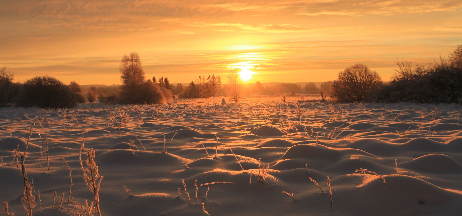 Waimes Hautes Fagnes, rendez-vous en terre insolite au sommet de la Belgique - photo 25