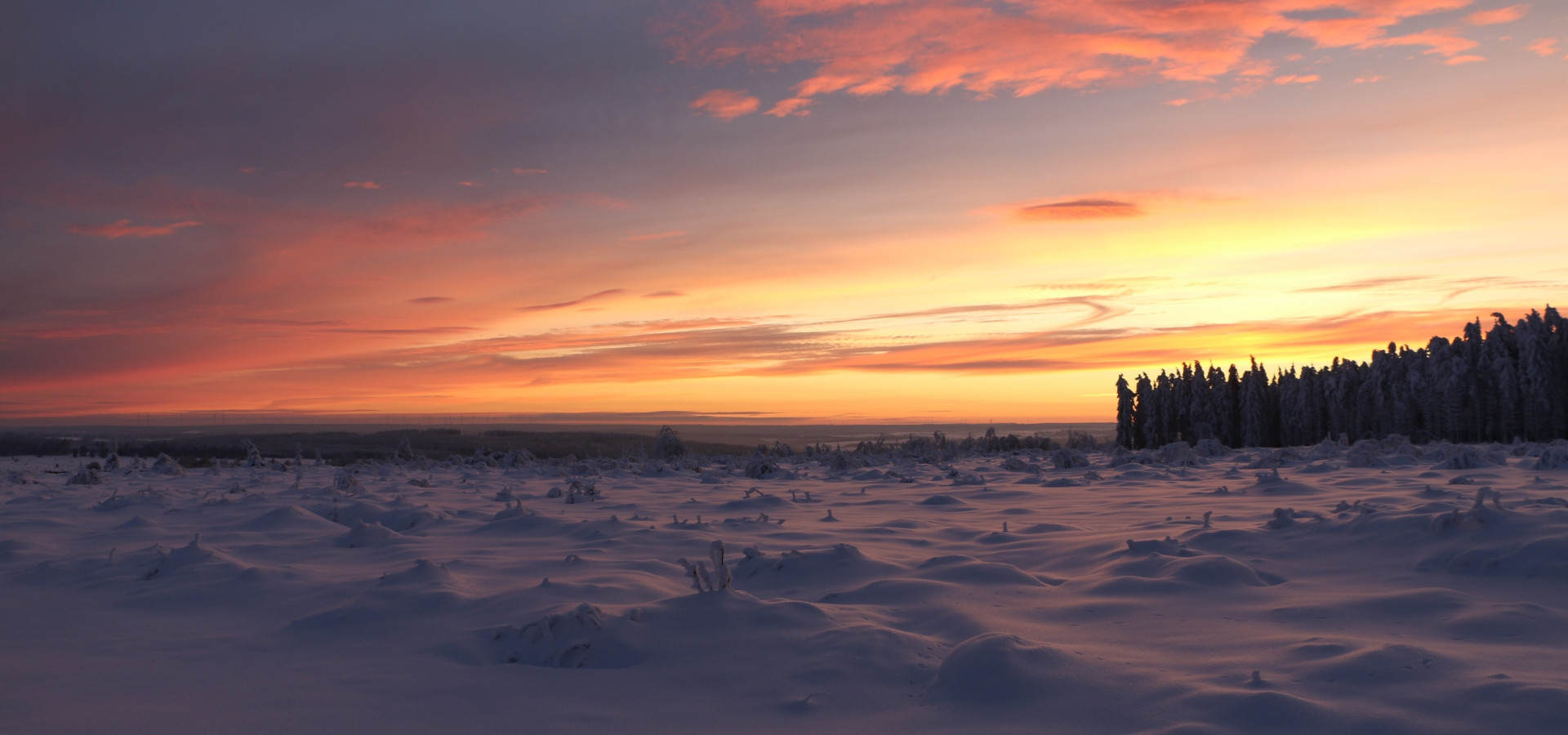 Waimes Hautes Fagnes, rendez-vous en terre insolite au sommet de la Belgique - photo 21