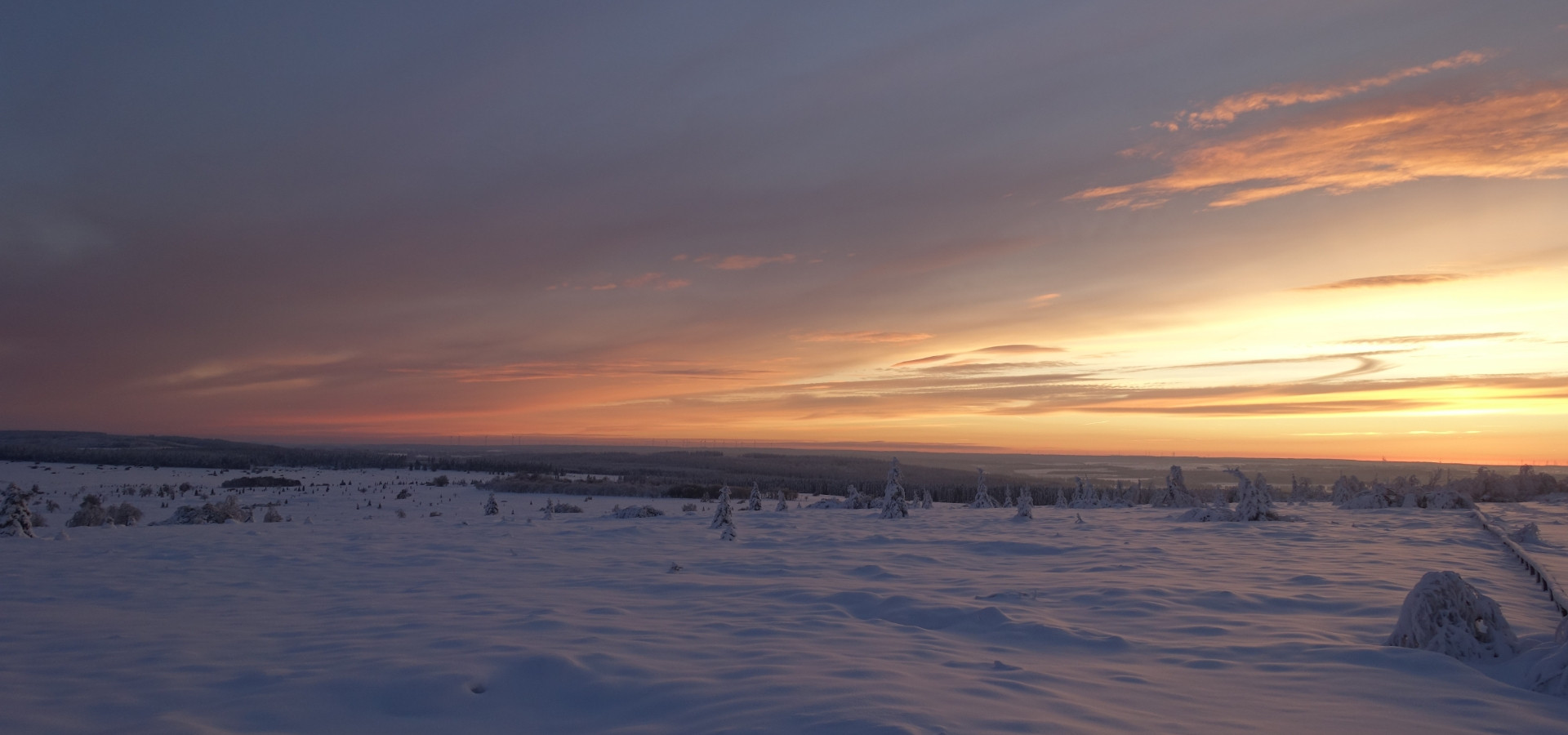 Waimes Hautes Fagnes, rendez-vous en terre insolite au sommet de la Belgique - photo 23