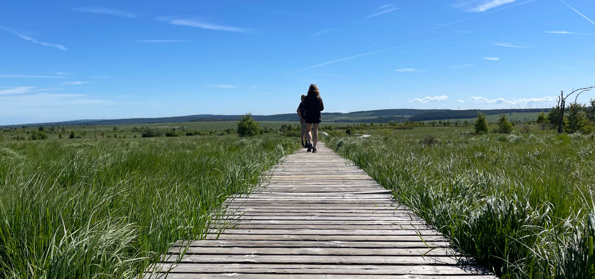 Waimes Hautes Fagnes, rendez-vous en terre insolite au sommet de la Belgique - photo 23