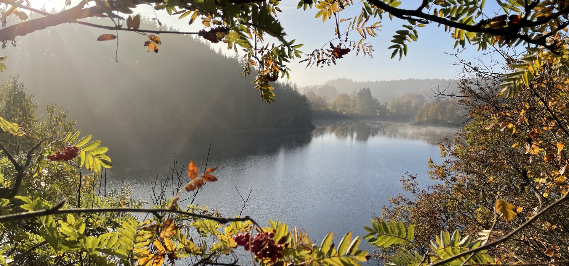 Waimes Hautes Fagnes, rendez-vous en terre insolite au sommet de la Belgique - photo 18
