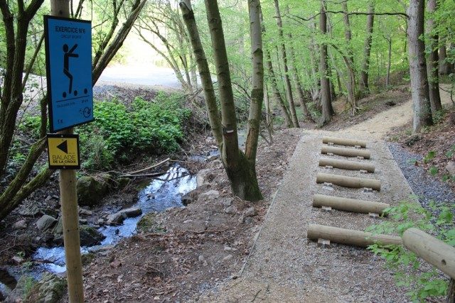 Walk - Waimes Hautes Fagnes - photo 27