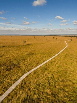 In het oosten, Eden. Unieke ontdekkingen en emoties wachten op je! - photo 24