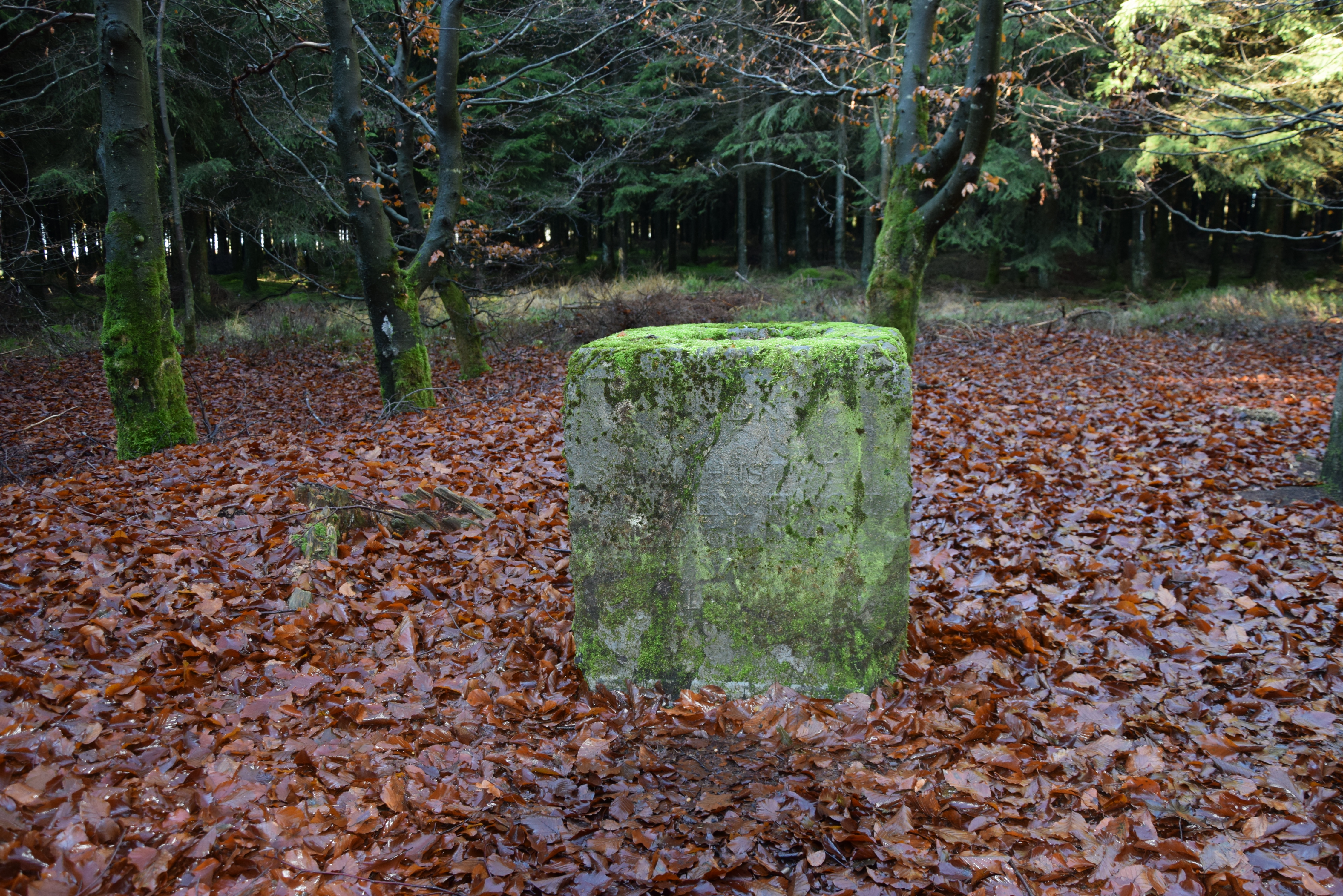 Das Eastorium von Belgien - Waimes Hautes Fagnes - photo 23