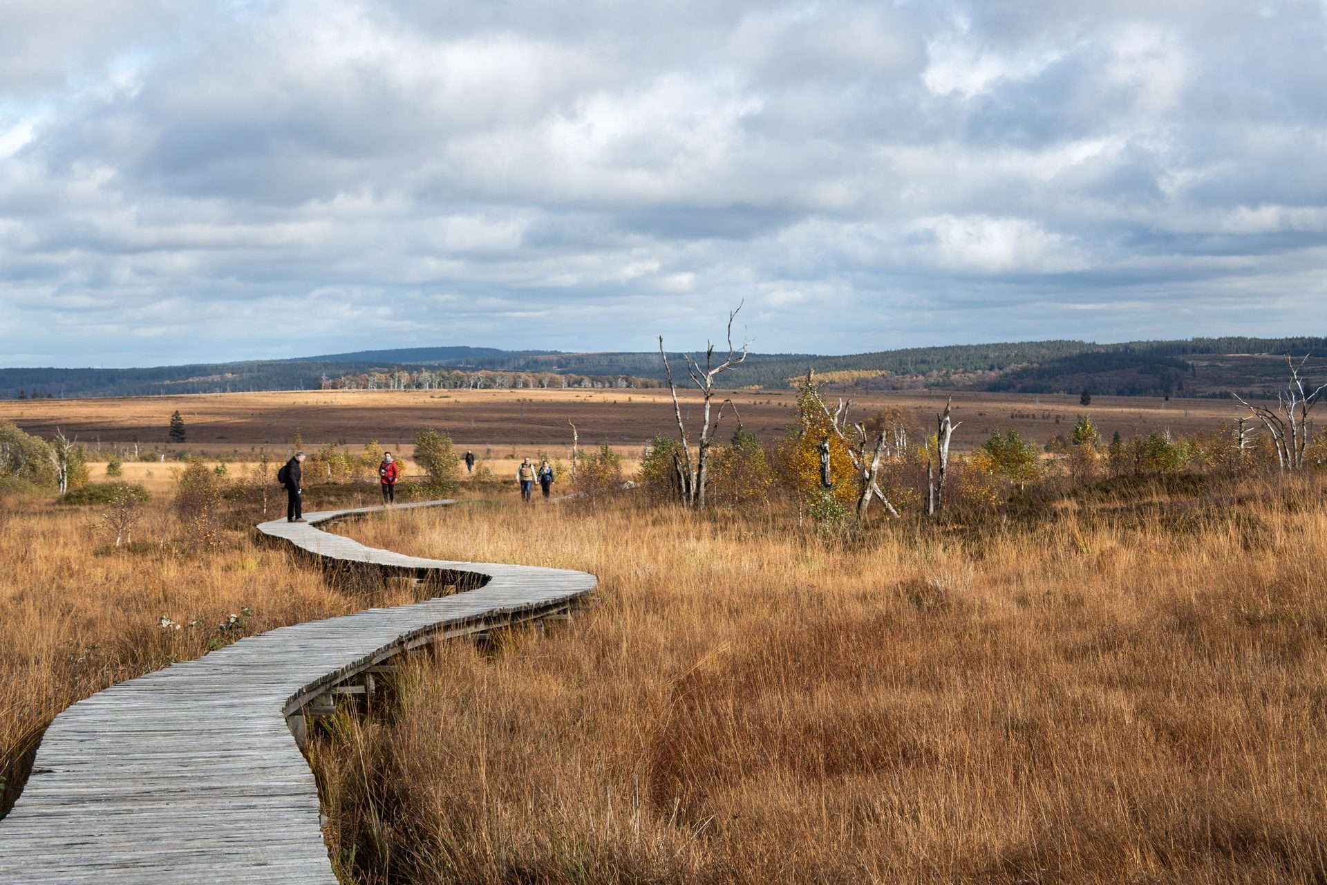 The High Fens - Waimes Hautes Fagnes - photo 21