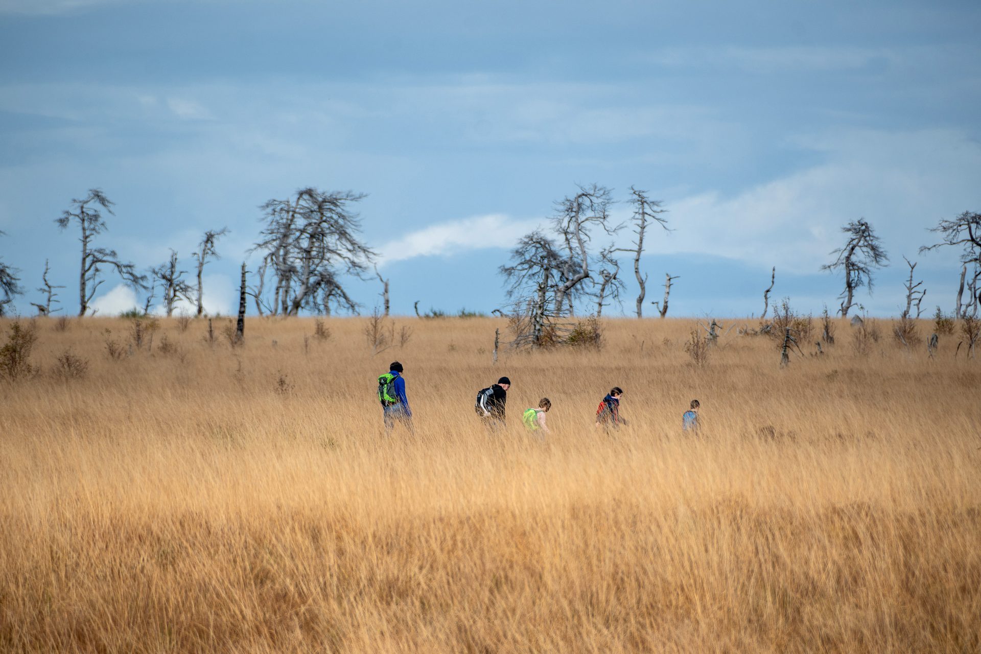 Das Hohe Venn - Waimes Hautes Fagnes - photo 20