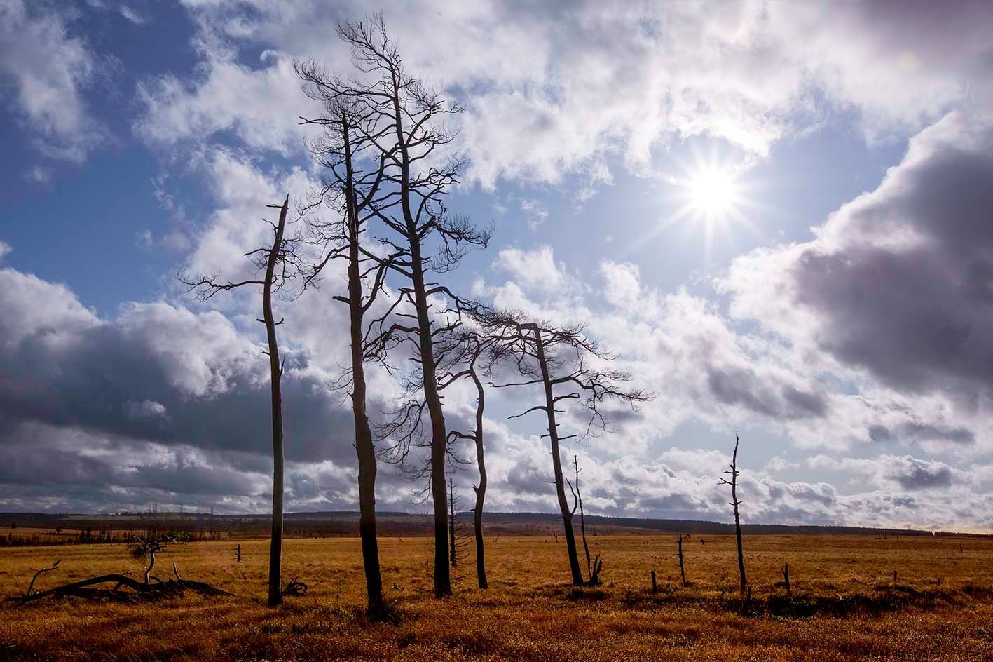 The High Fens - Waimes Hautes Fagnes - photo 22