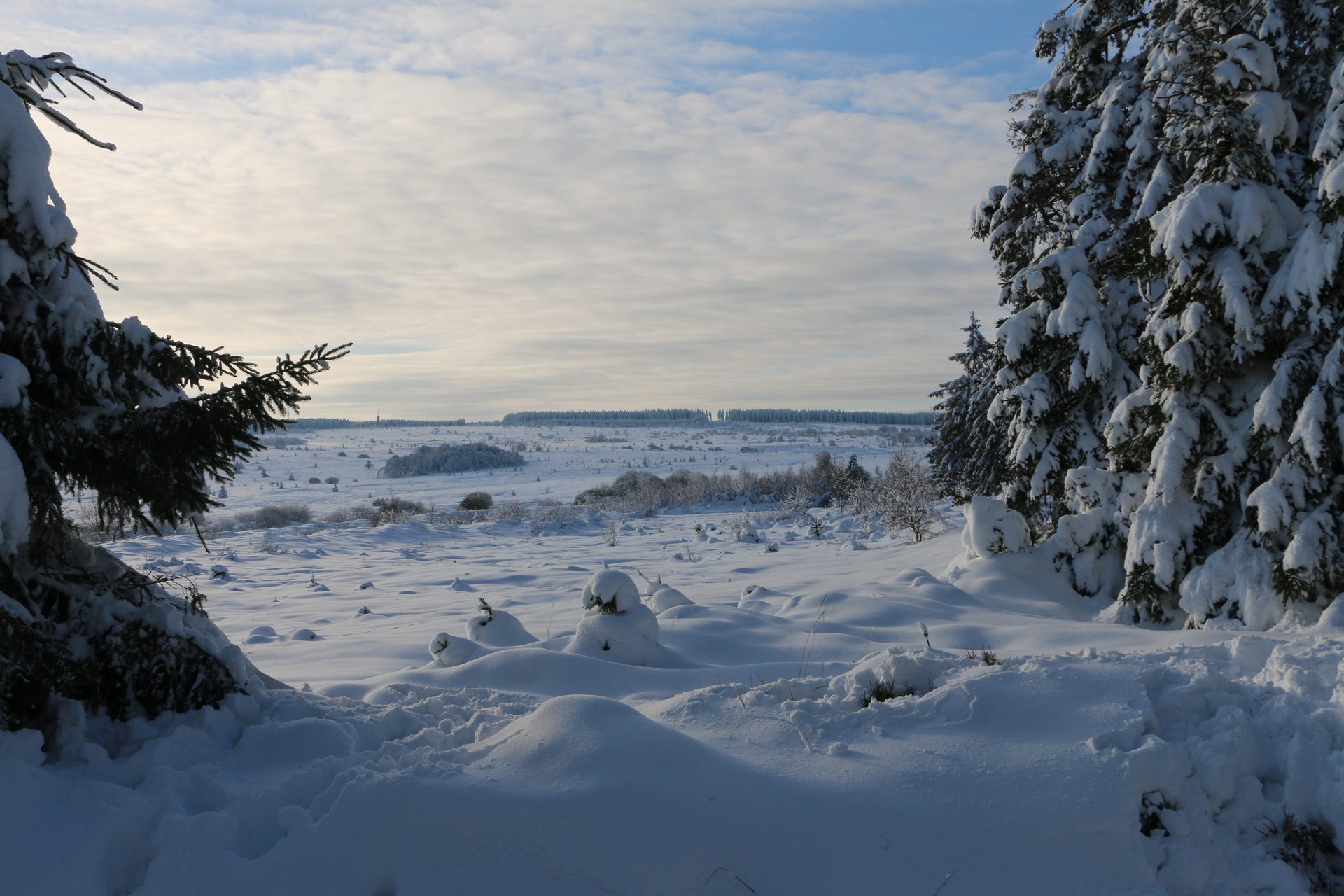 Les Hautes-Fagnes - photo 18