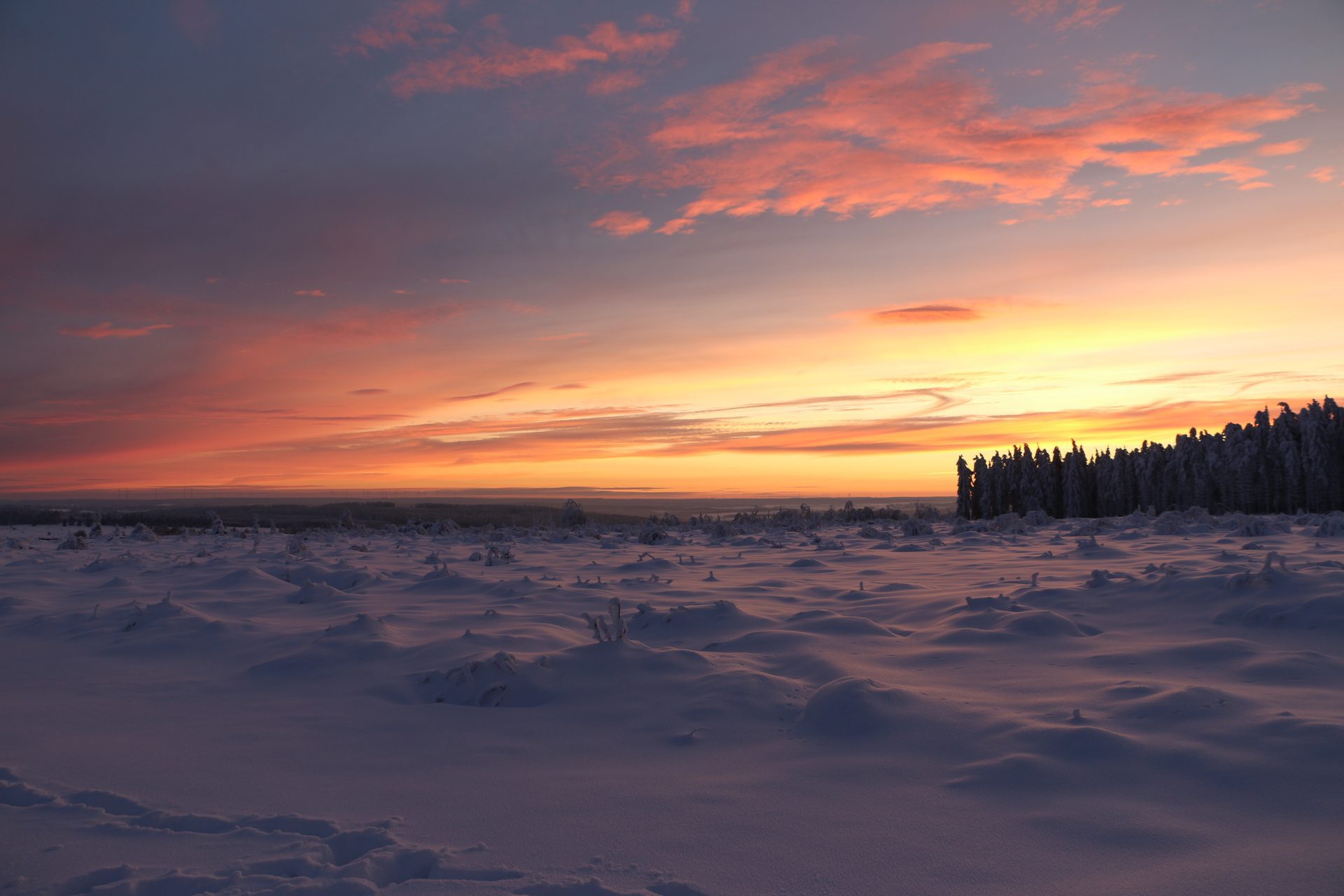 The High Fens - Waimes Hautes Fagnes - photo 19