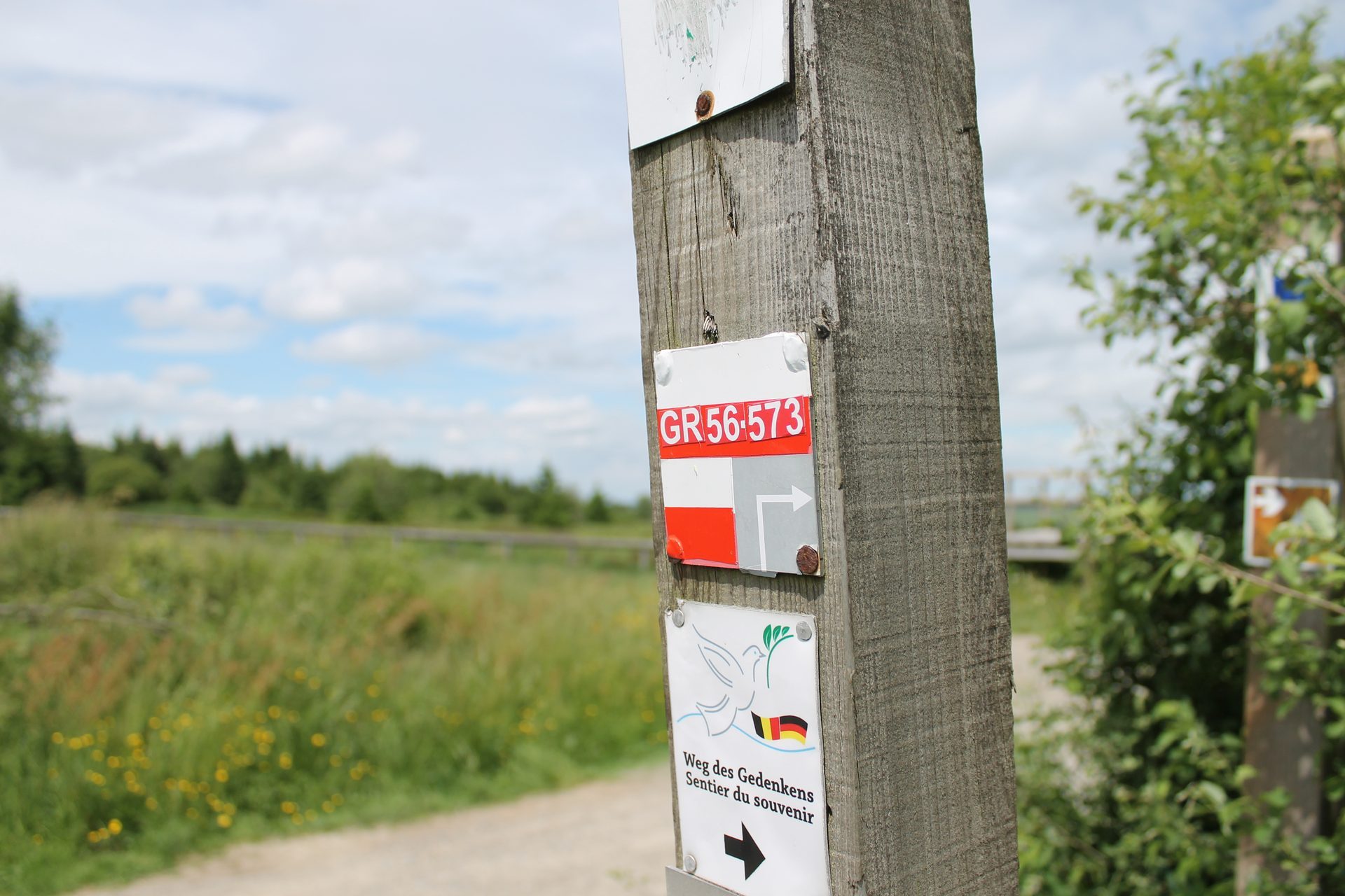 Long-distance footpaths (SGR) - Waimes Hautes Fagnes - photo 19