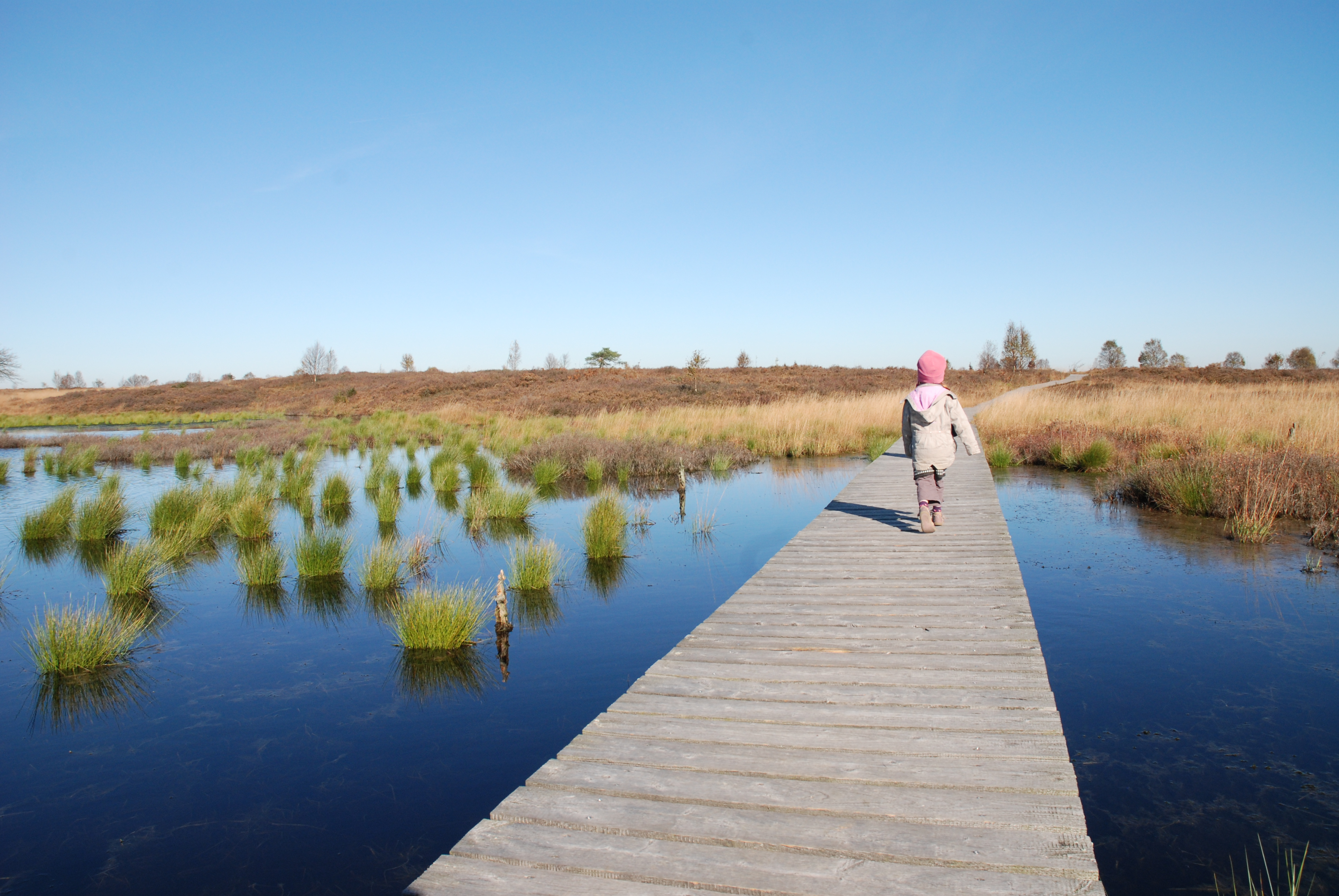 Walk - Waimes Hautes Fagnes - photo 3