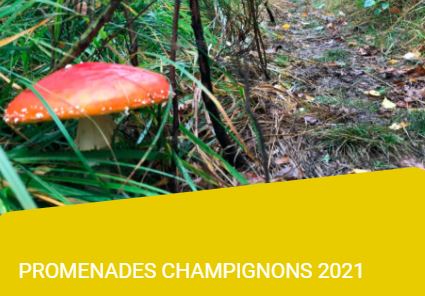 Agenda - photo 20