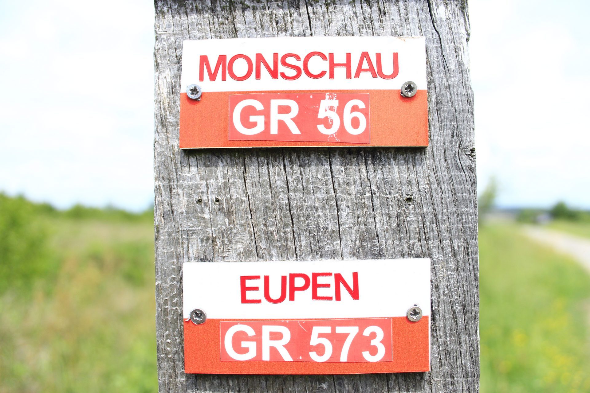 Long-distance footpaths (SGR) - Waimes Hautes Fagnes - photo 18