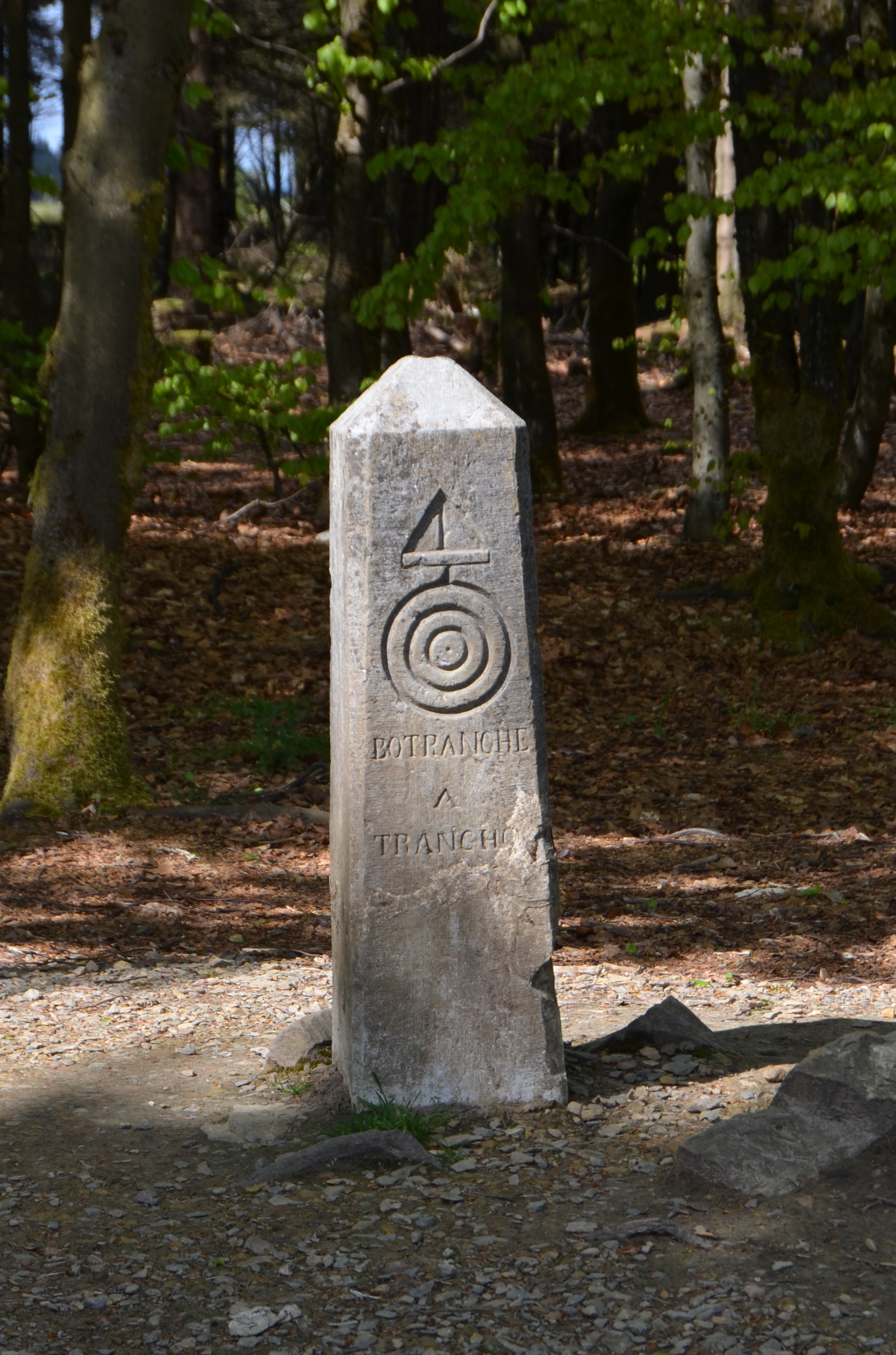 L'Eastorium de Belgique - Waimes Hautes Fagnes - photo 24