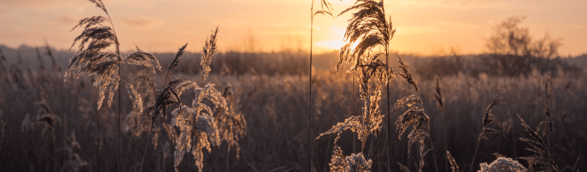 Entdecken - Waimes Hautes Fagnes - photo 43