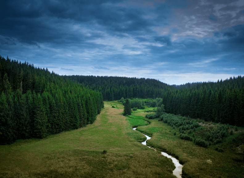 The Signal de Botrange - Waimes Hautes Fagnes - photo 20