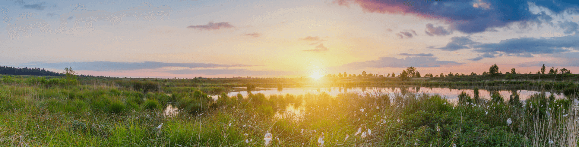 Waimes Hautes Fagnes, rendez-vous en terre insolite au sommet de la Belgique - photo 32