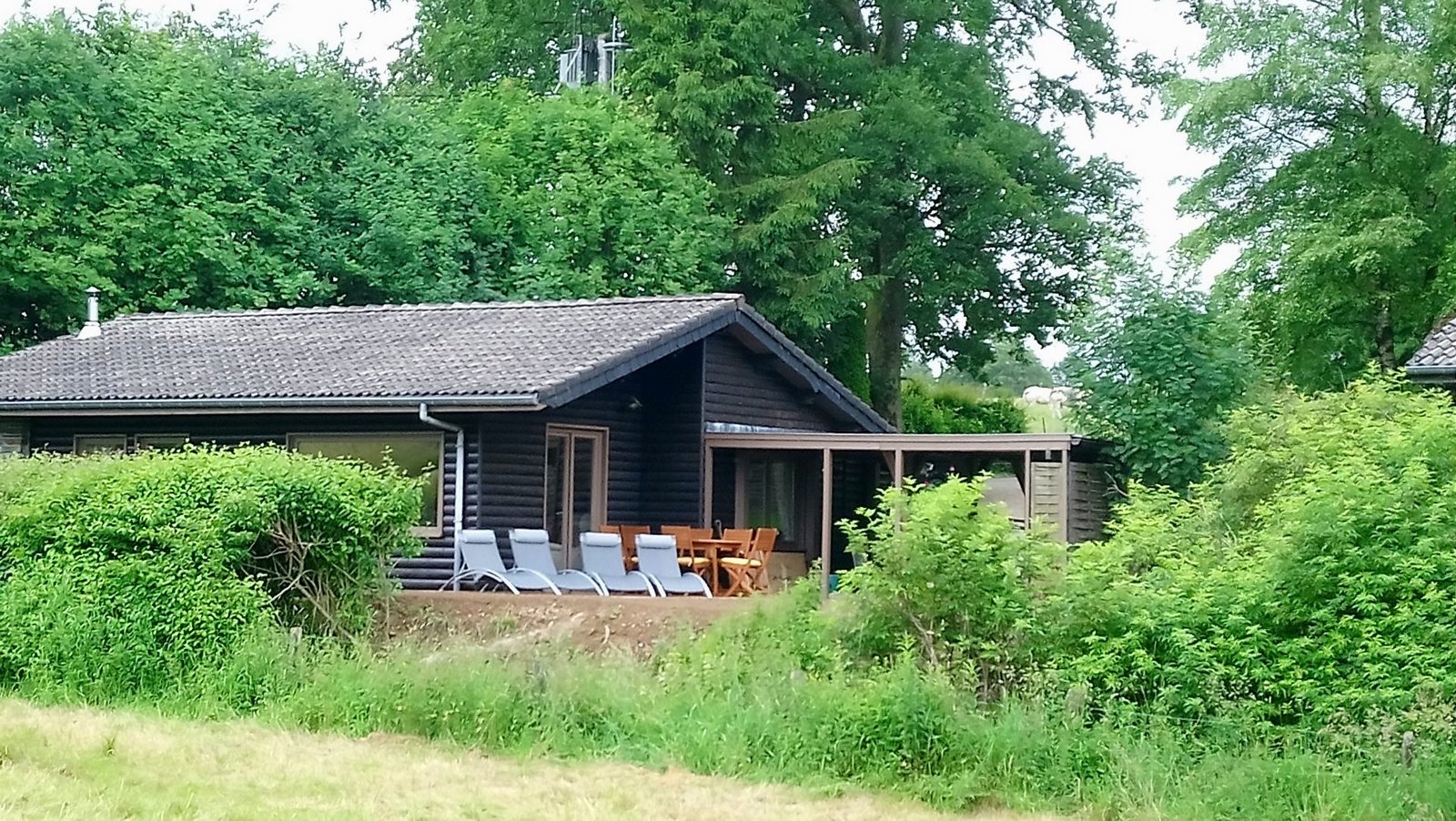 Le Quesru à Robertville - Gîte Rural - Meublé de vacances - photo 18