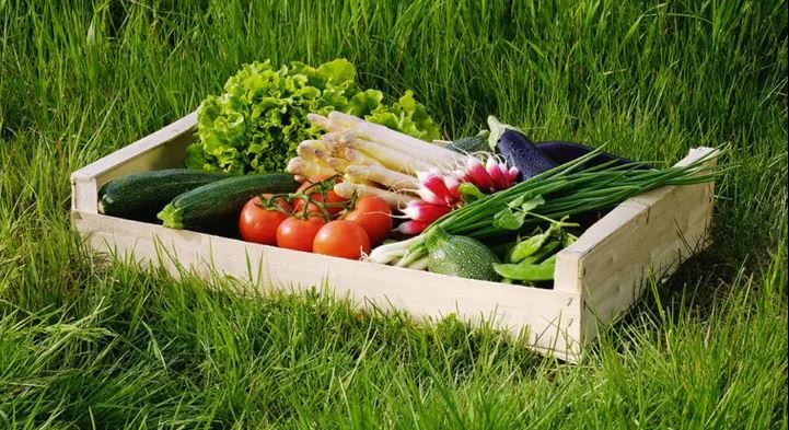 LES JARDINS DE STEINBACH à Steinbach - Produits de terroir - photo 18