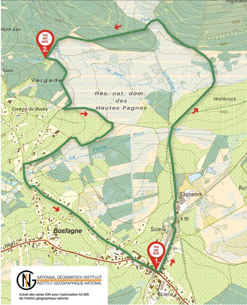 Dans la Fagne de Sourbrodt - Waimes Hautes Fagnes - photo 19