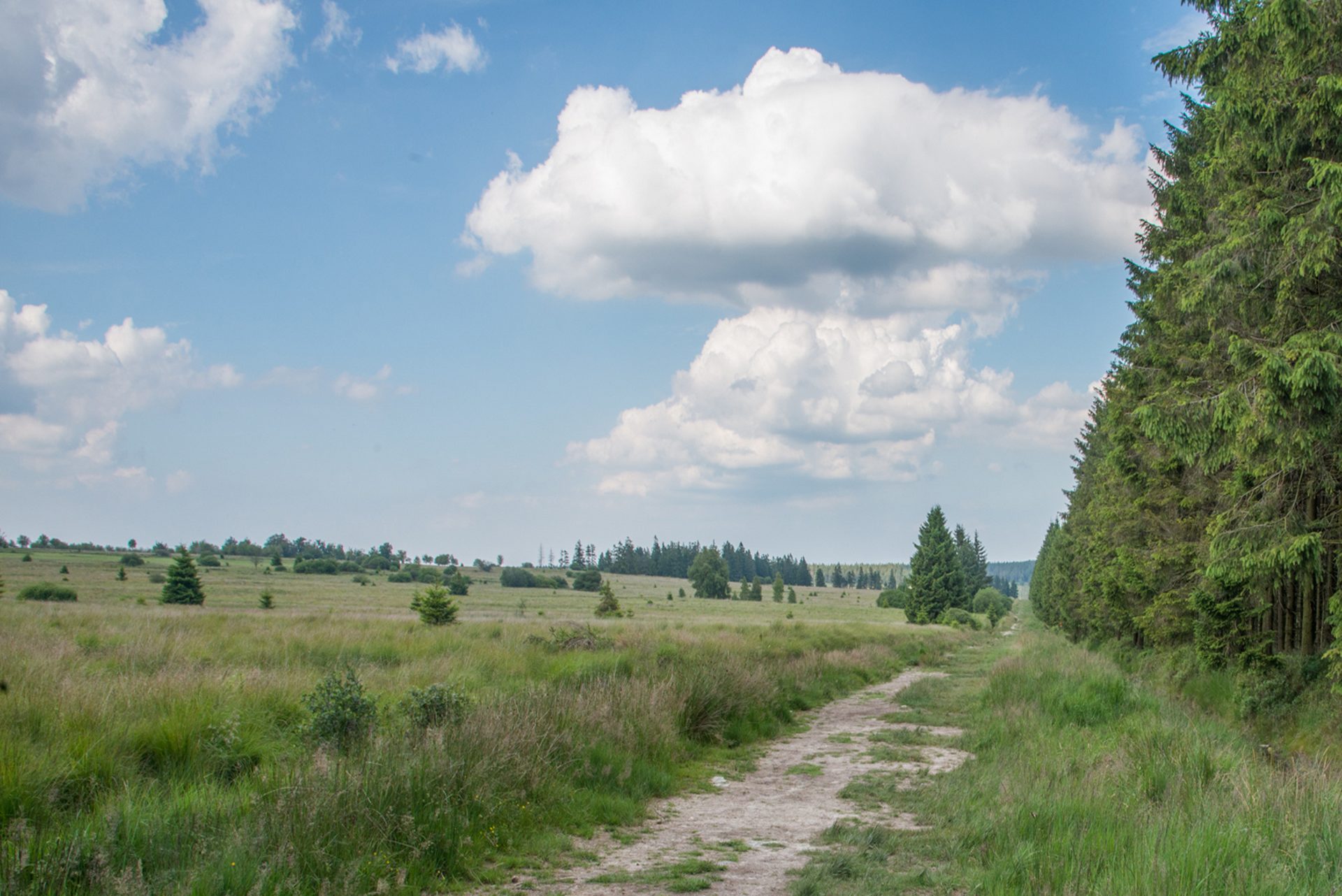 Sur les versants de la Warchenne - Waimes Hautes Fagnes - photo 54