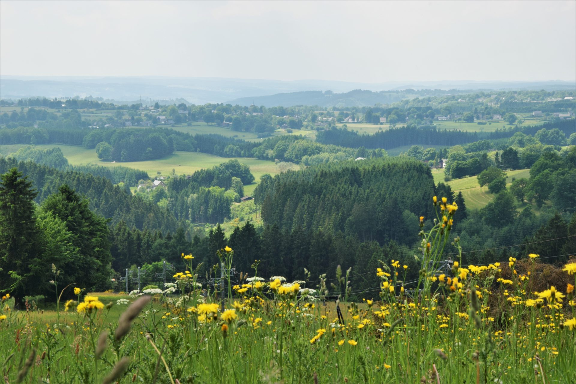 Over heuvels en door dalen - Waimes Hautes Fagnes - photo 66