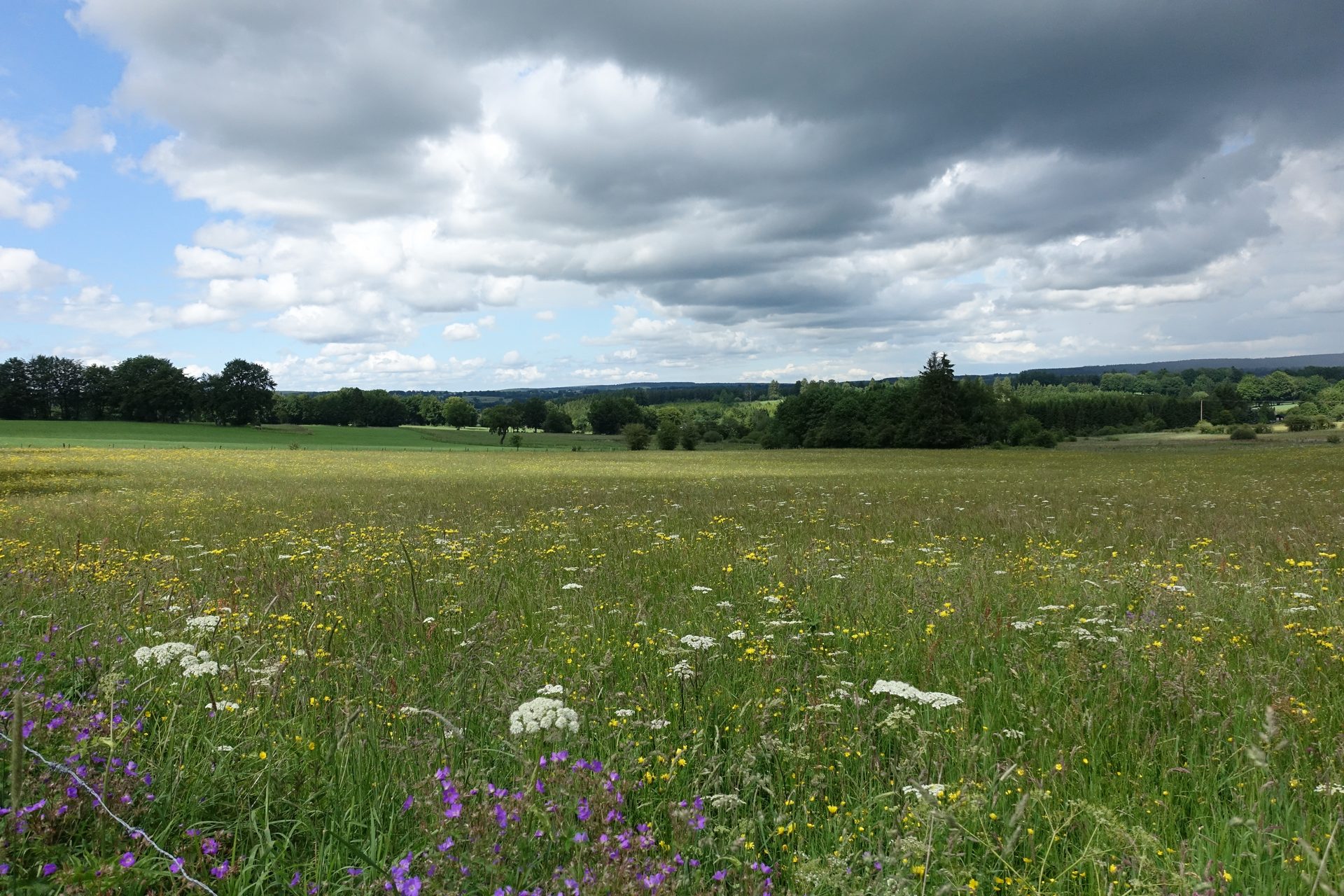 Zum Quellgebiet der Warchenne - Waimes Hautes Fagnes - photo 63