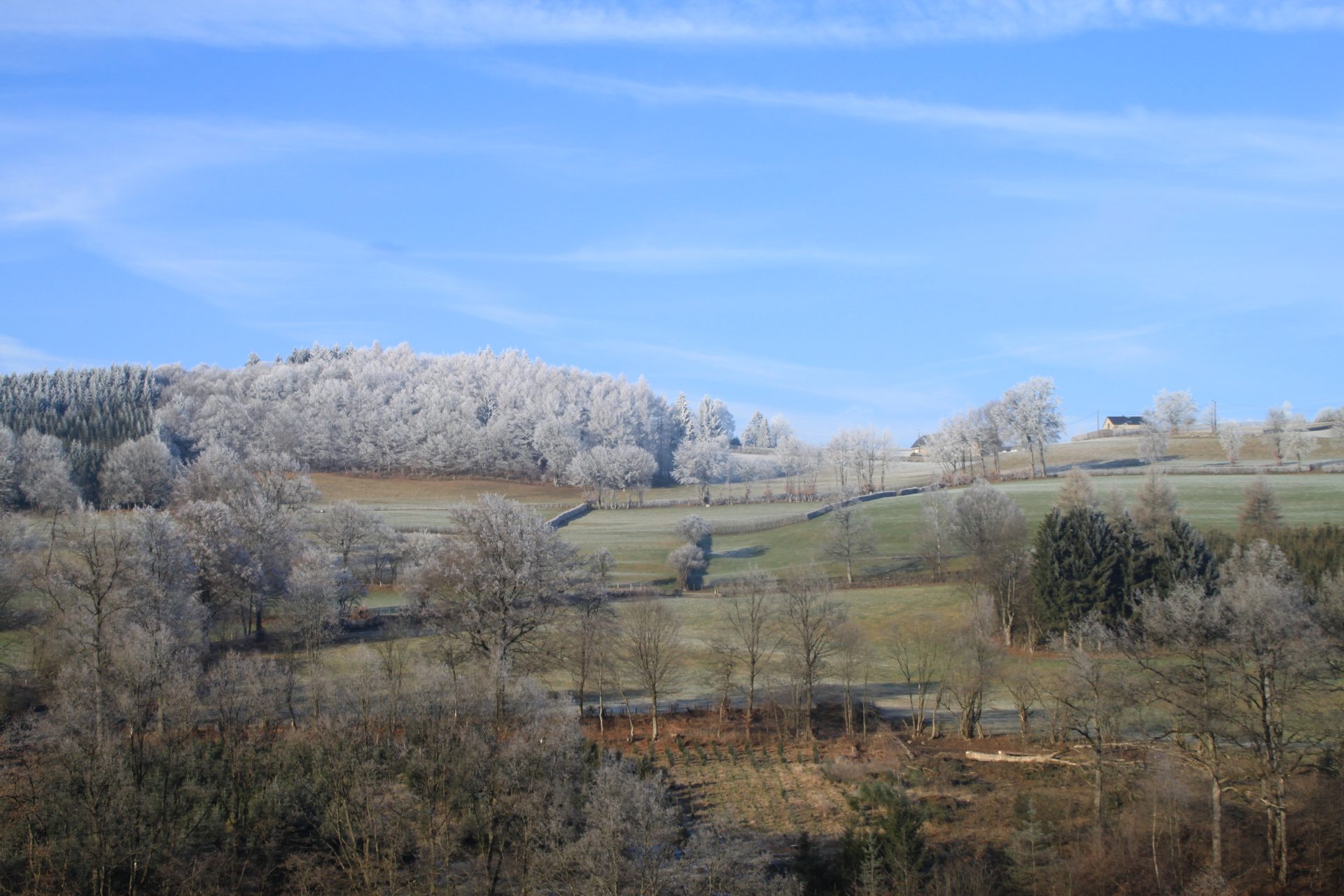 Over heuvels en door dalen - Waimes Hautes Fagnes - photo 54