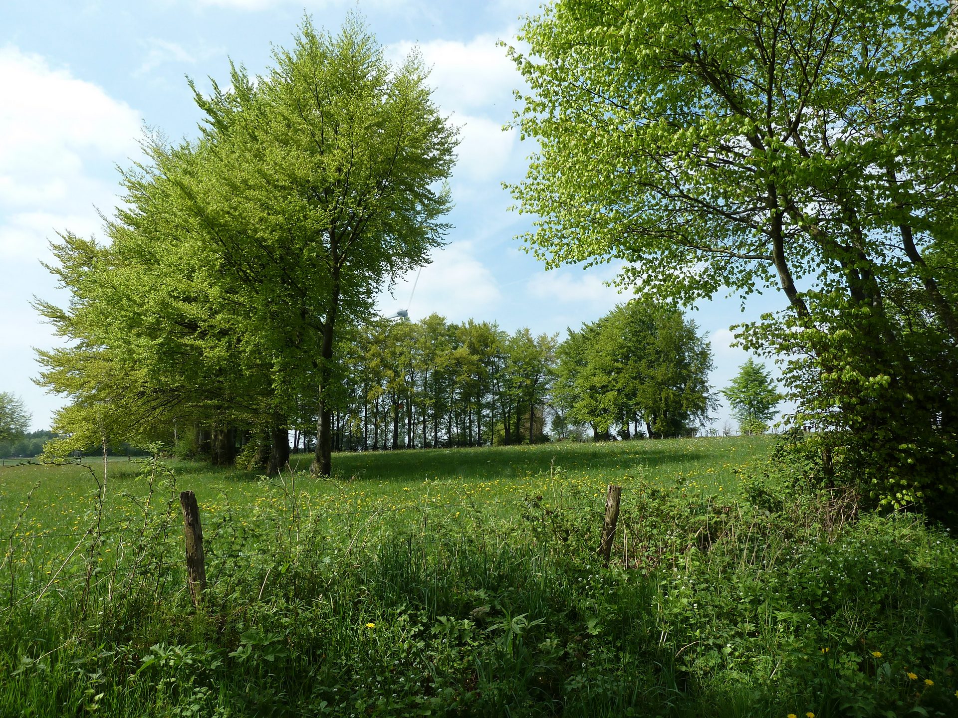 Sur les versants de la Warchenne - photo 51