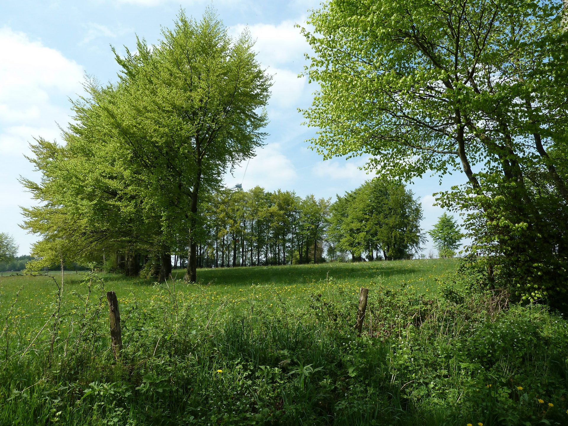 Du lac aux sources du Quarreux - Waimes Hautes Fagnes - photo 48