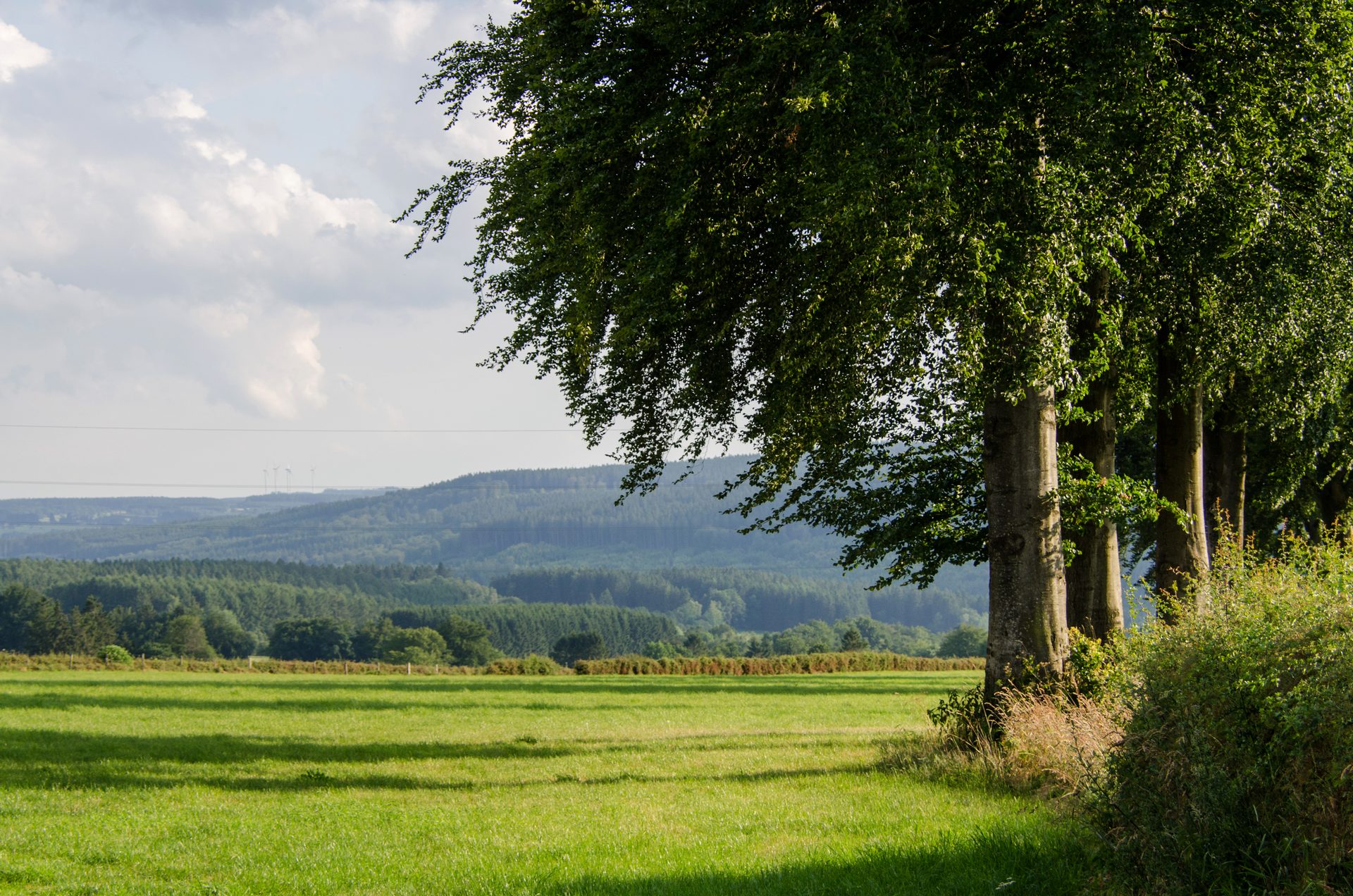 Auf den Höhen von Ovifat - Waimes Hautes Fagnes - photo 39