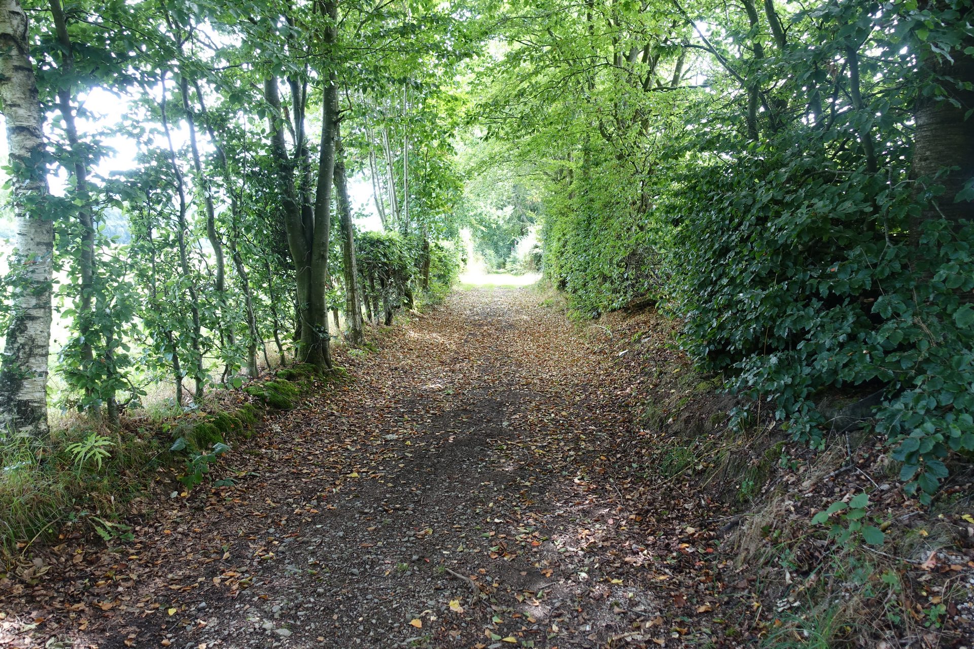 Sur les versants de la Warchenne - photo 81