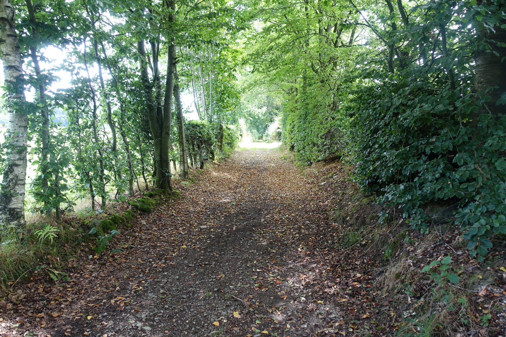 Im Sourbrodter Venn - Waimes Hautes Fagnes - photo 63