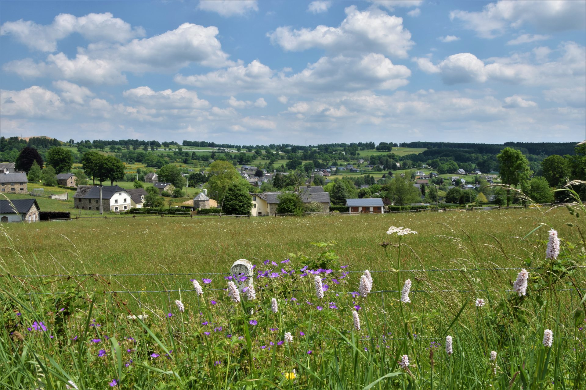 Panorama’s van de Warche - Waimes Hautes Fagnes - photo 78