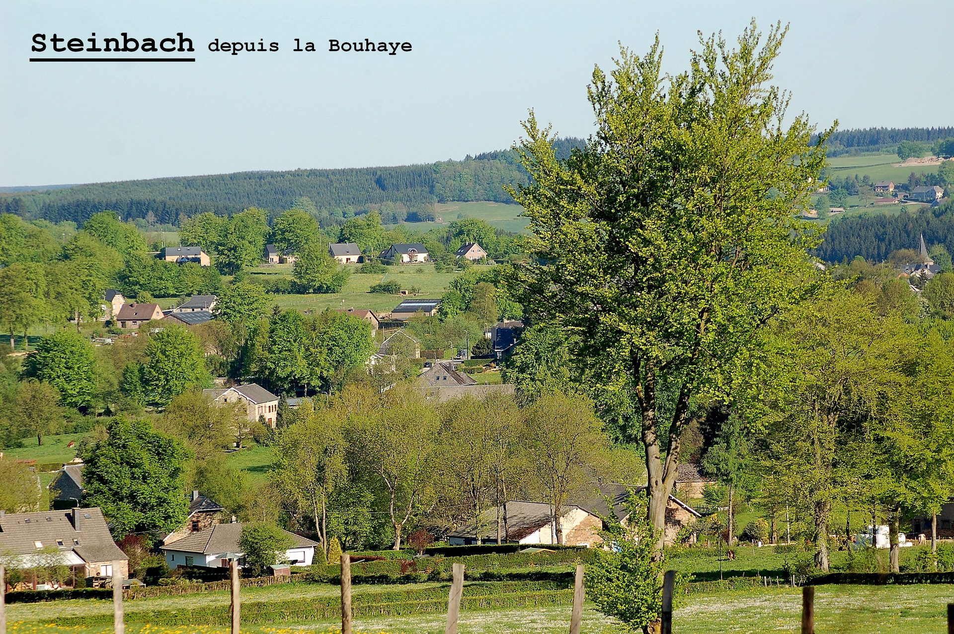Sur les versants de la Warchenne - photo 36