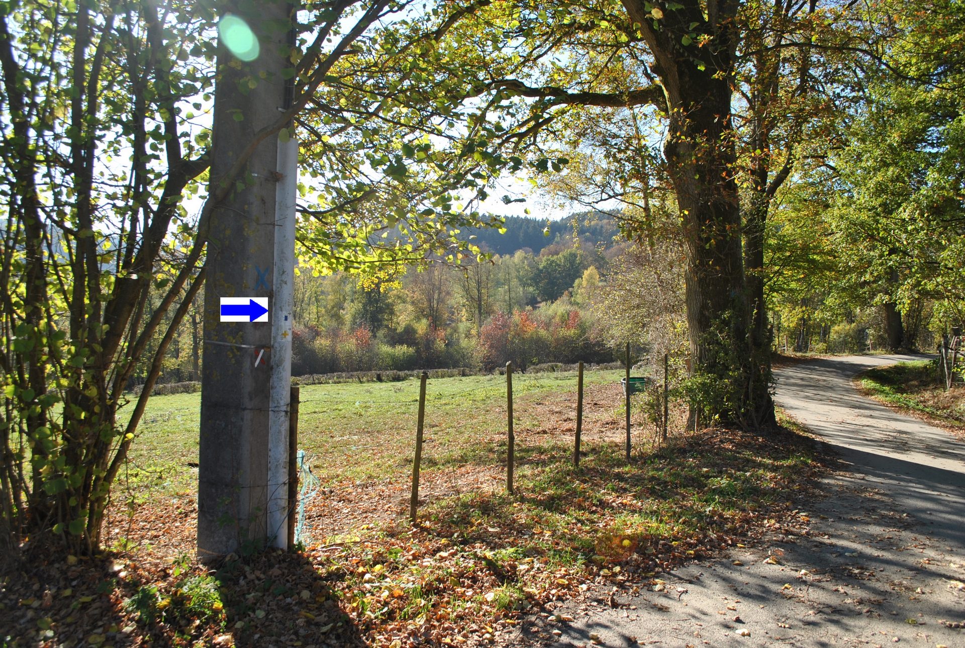 Auf den Höhen von Ovifat - Waimes Hautes Fagnes - photo 51