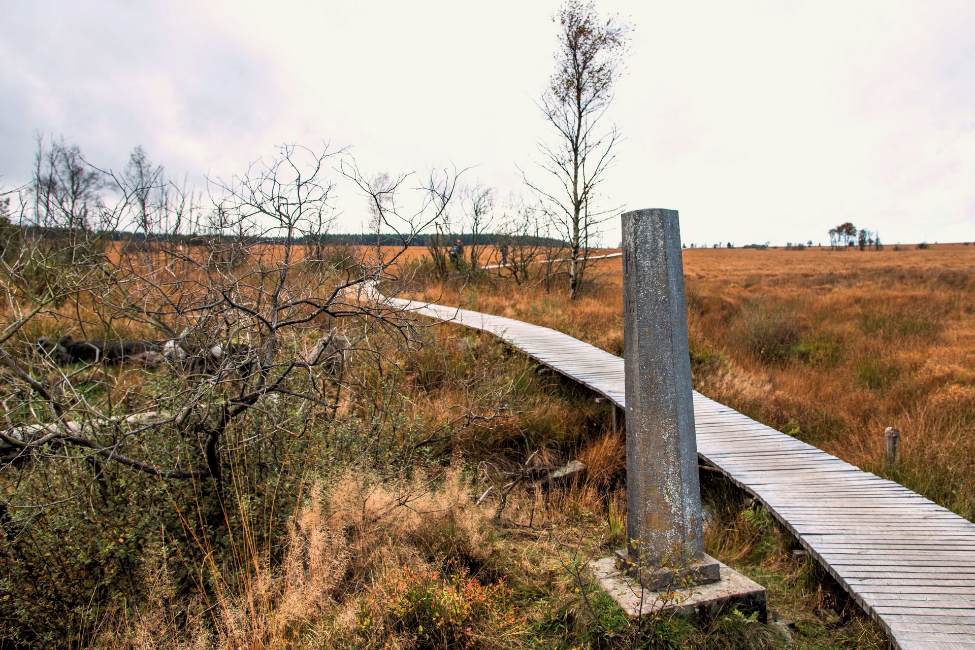 Wandelingen - Waimes Hautes Fagnes - photo 20