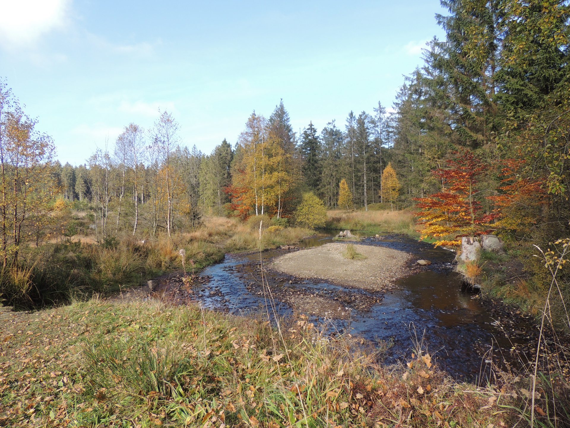 Zum Wallonischen Venn - Waimes Hautes Fagnes - photo 18