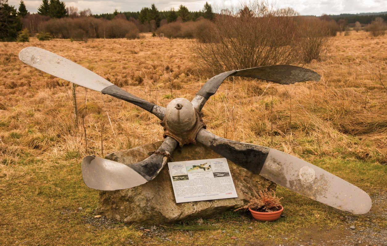 Dans la Fagne de Sourbrodt - photo 18